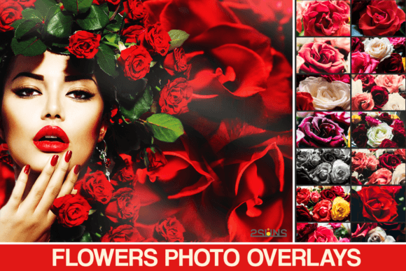 Red Rose Petals Textures Background